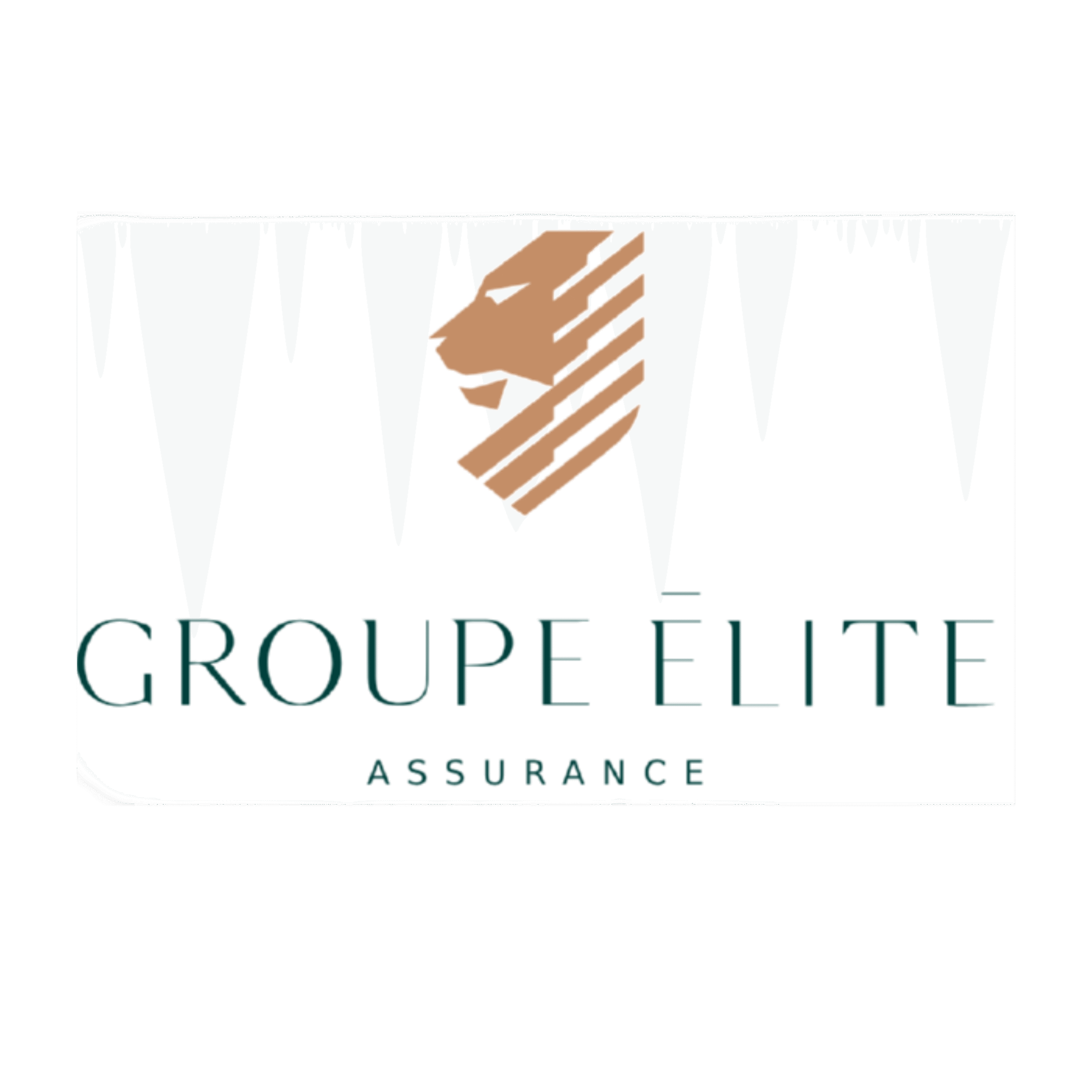 groupe elite_1